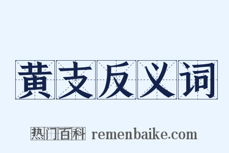黄支反义词是什么意思的图片